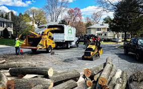 Best Tree Health Inspection  in Rome City, IN